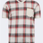 Bearraybon v-neck checked men